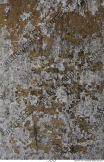Walls Plaster